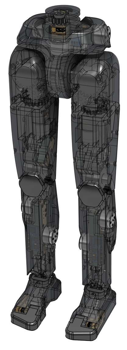 Project 30k Pelvis & Waist Drive Cutaway